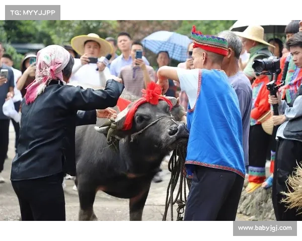 神牛觉醒 攻略—神牛礼包:神牛崛起:觉醒攻略指引,助你踏上牛王之路 神牛觉醒 攻略—神牛礼包:神牛崛起:觉醒攻略指引,助你踏上牛王之路